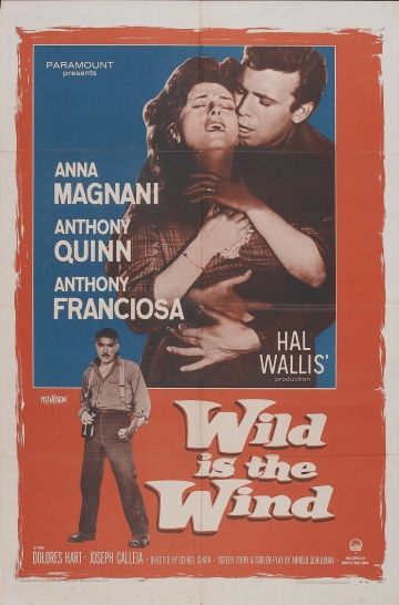 Дикий ветер, 1957: актеры, рейтинг, кто снимался, полная информация о фильме Wild Is the Wind