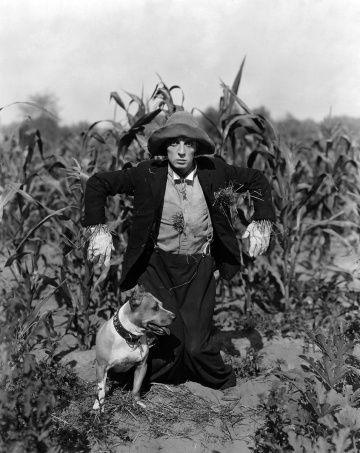 Пугало, 1920: актеры, рейтинг, кто снимался, полная информация о фильме The Scarecrow