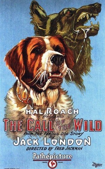 Зов предков, 1923: актеры, рейтинг, кто снимался, полная информация о фильме Call of the Wild