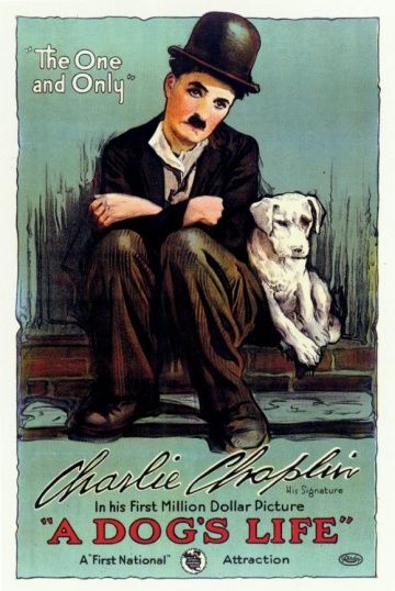 Собачья жизнь, 1918: актеры, рейтинг, кто снимался, полная информация о фильме A Dog's Life