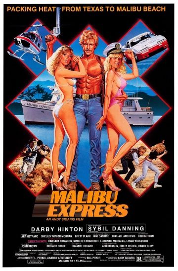 Малибу-экспресс, 1985: актеры, рейтинг, кто снимался, полная информация о фильме Malibu Express