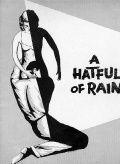 Шляпа, полная дождя, 1957: актеры, рейтинг, кто снимался, полная информация о фильме A Hatful of Rain