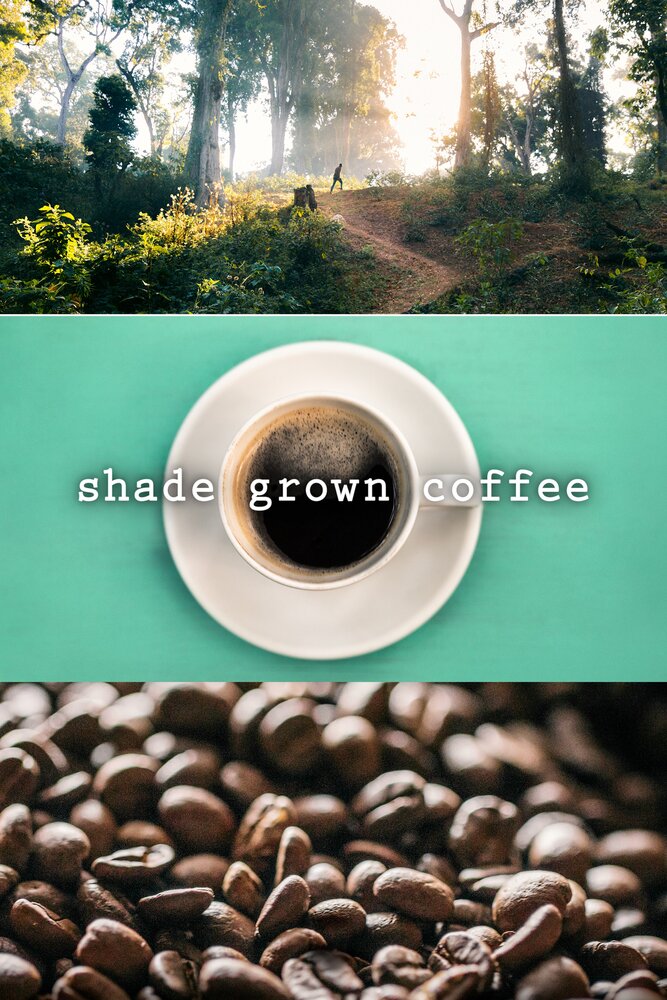 Coffee is grown. «Shade grown».
