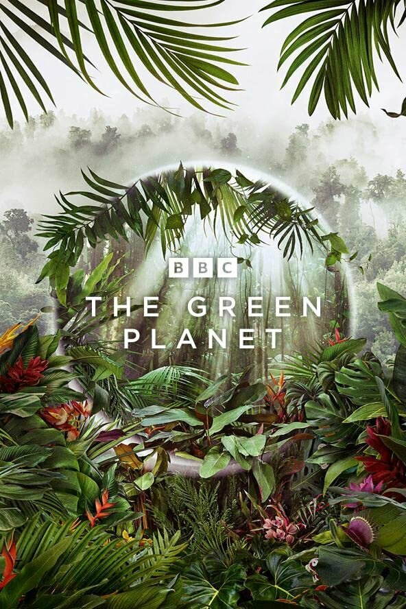 Зелёная планета, 2022: актеры, рейтинг, кто снимался, полная информация о сериале The Green Planet, все сезоны